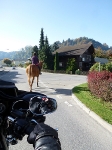 21.10.2012 - Final Ride Out_14